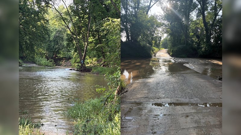 A Missouri motorist and their dog were rescued after clinging to branches for more than eight...