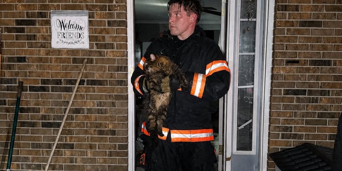 Three cats rescued from attic fire in Washington County