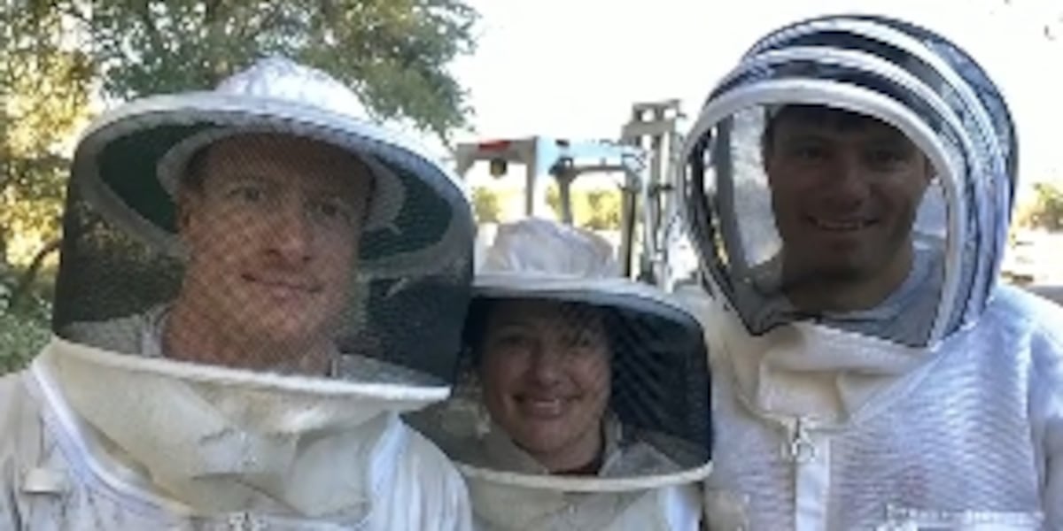 Celebrating World Bee Day with Register Family Farm