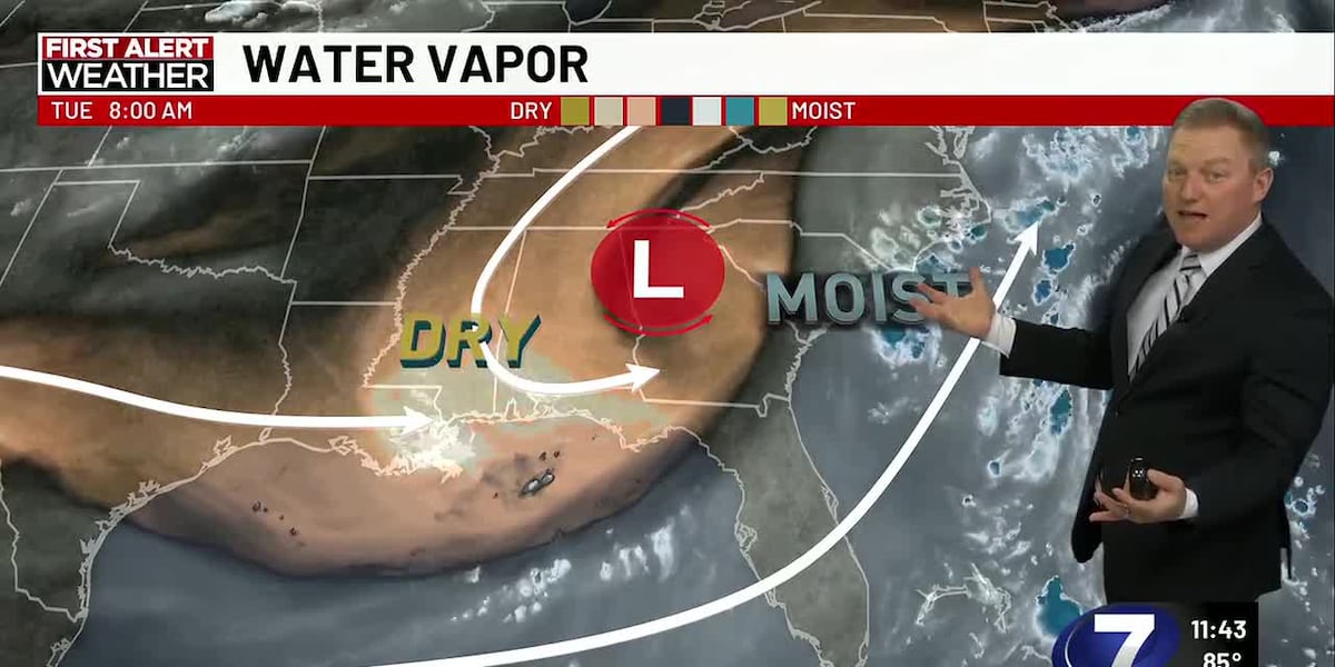 Only stray & brief rain chances ahead
