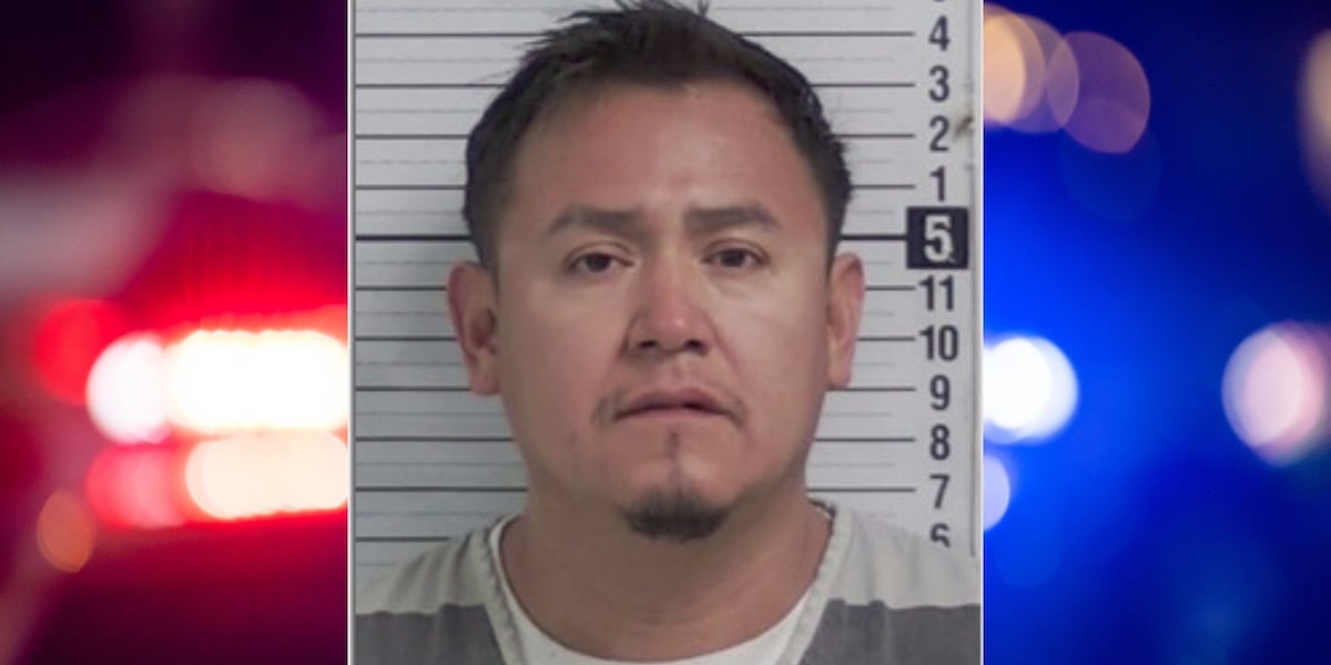 Man detained by ICE after traffic stop leads to Bay County arrest