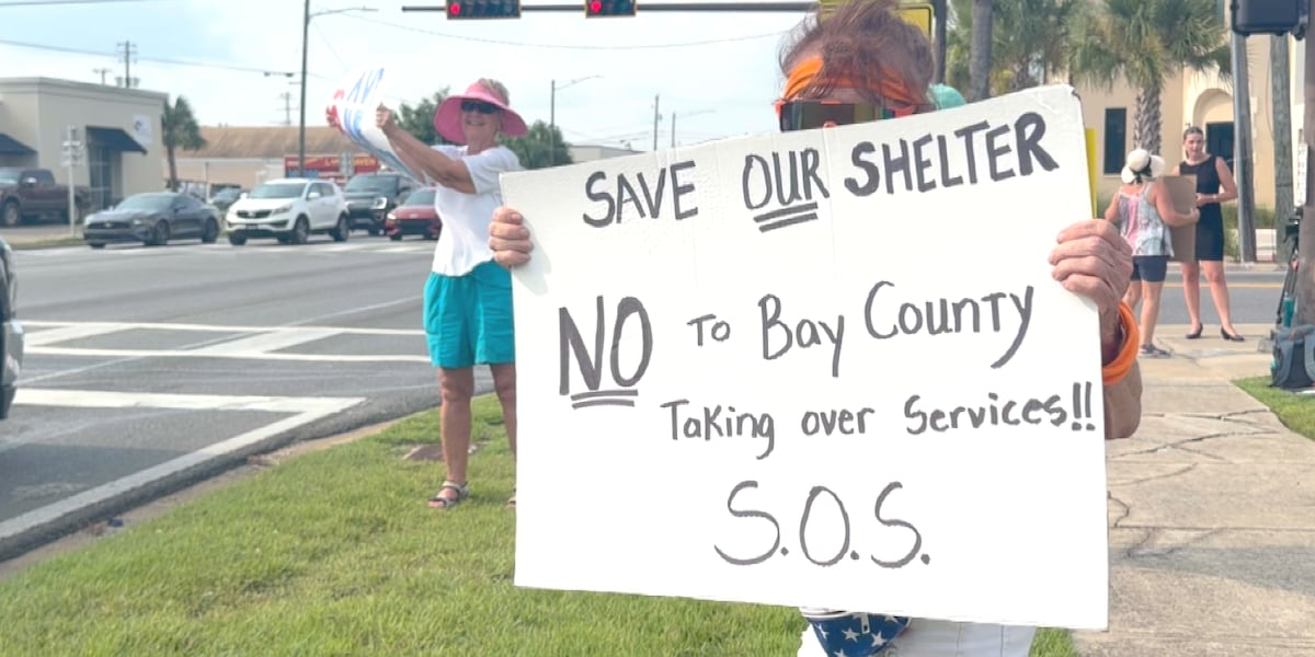 No consolidation for Lynn Haven Animal Shelter, mayor says