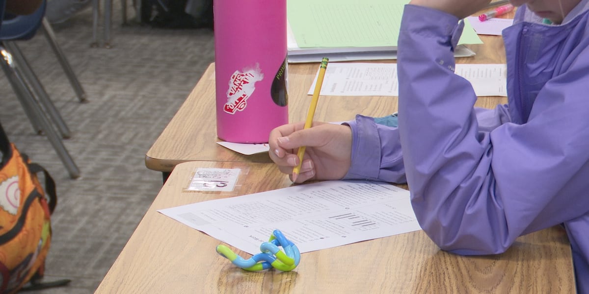 Florida school and district grades released