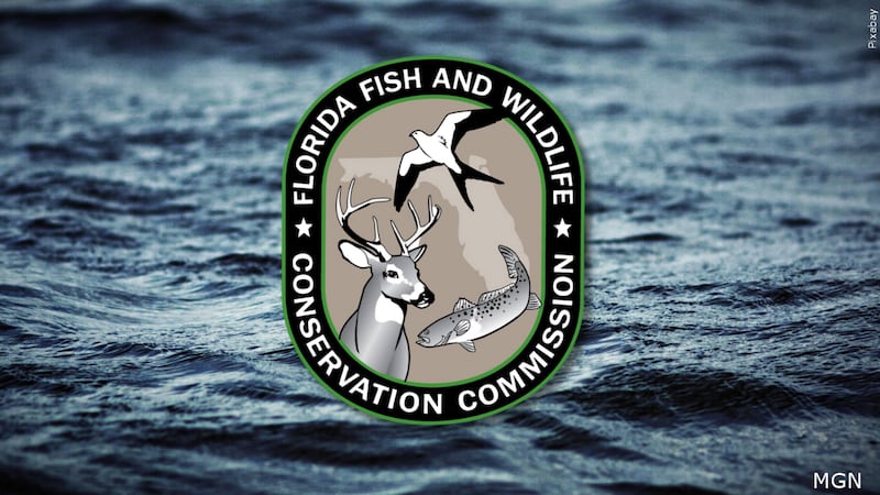 GFX - Florida Fish and Wildlife Commission (FWC) on water, ocean background