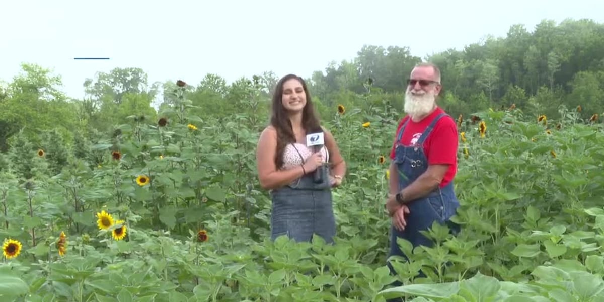 Hidden Cypress Farm hosts Festival of Flowers