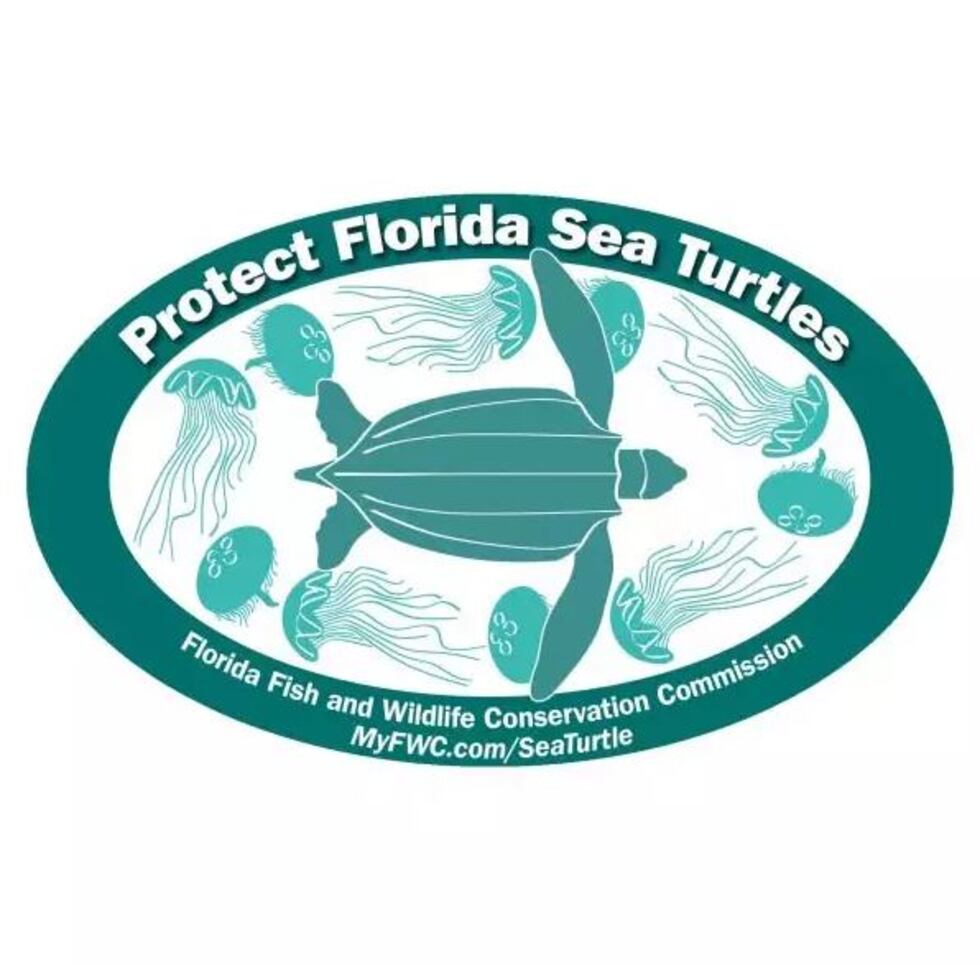 Sea Turtle Florida Decal Sea Turtle Florida Decal