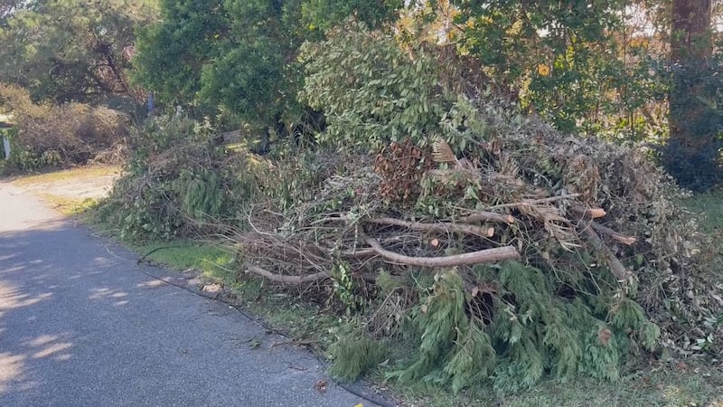 Panama City Beach leaders say crews are making progress on hurricane debris cleanup nearly two...