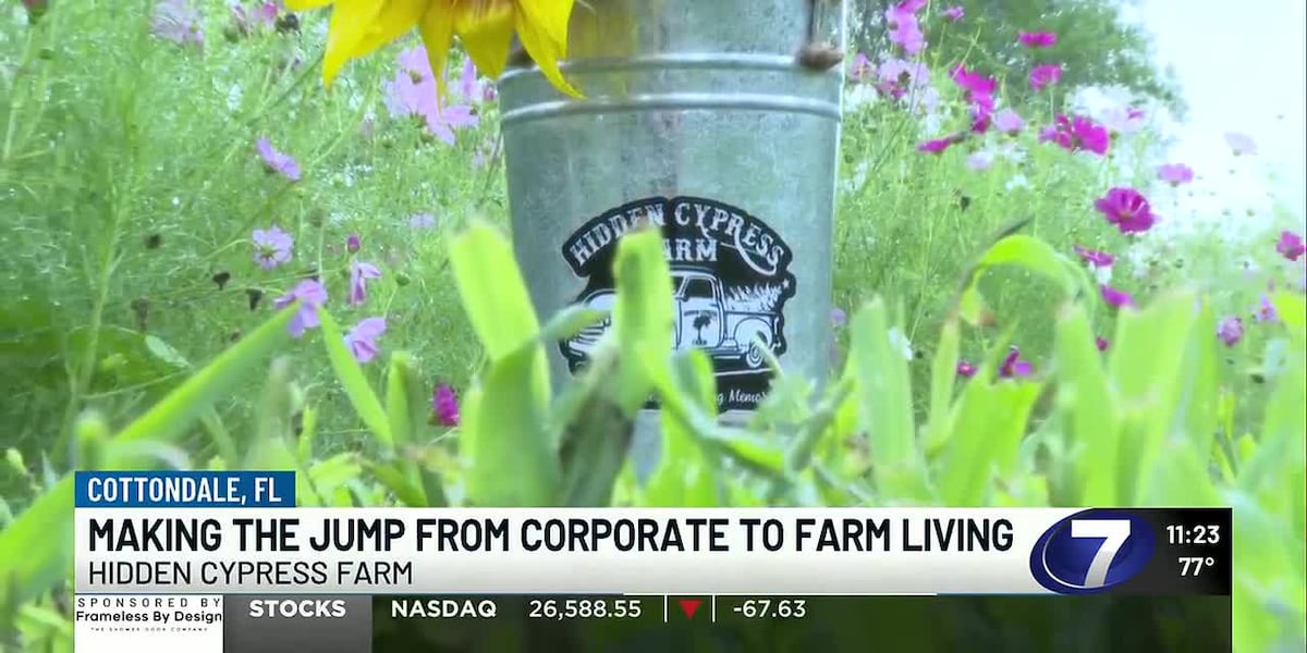 From corporate life to farm life with Hidden Cypress Farm