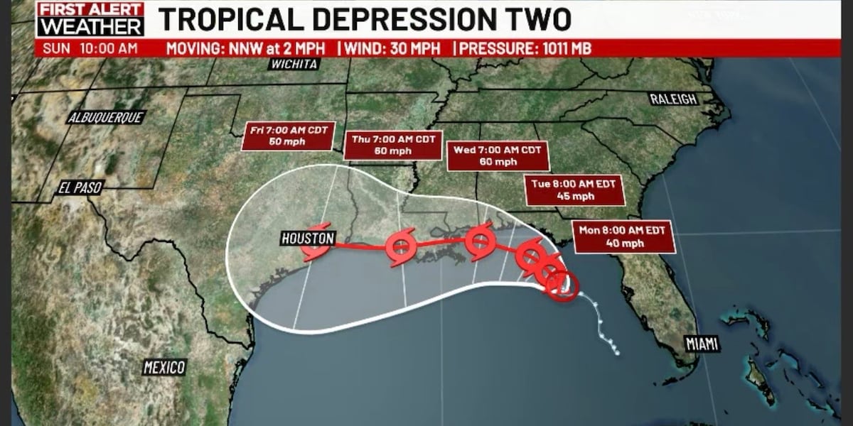 Tropical Depression Two forms in the Northern Gulf