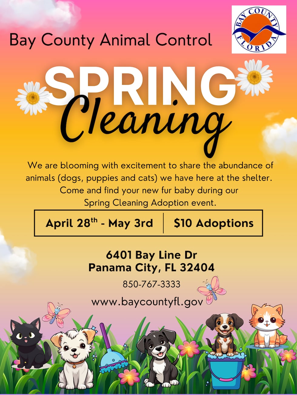 Bay County Animal Control Spring Cleaning Event
