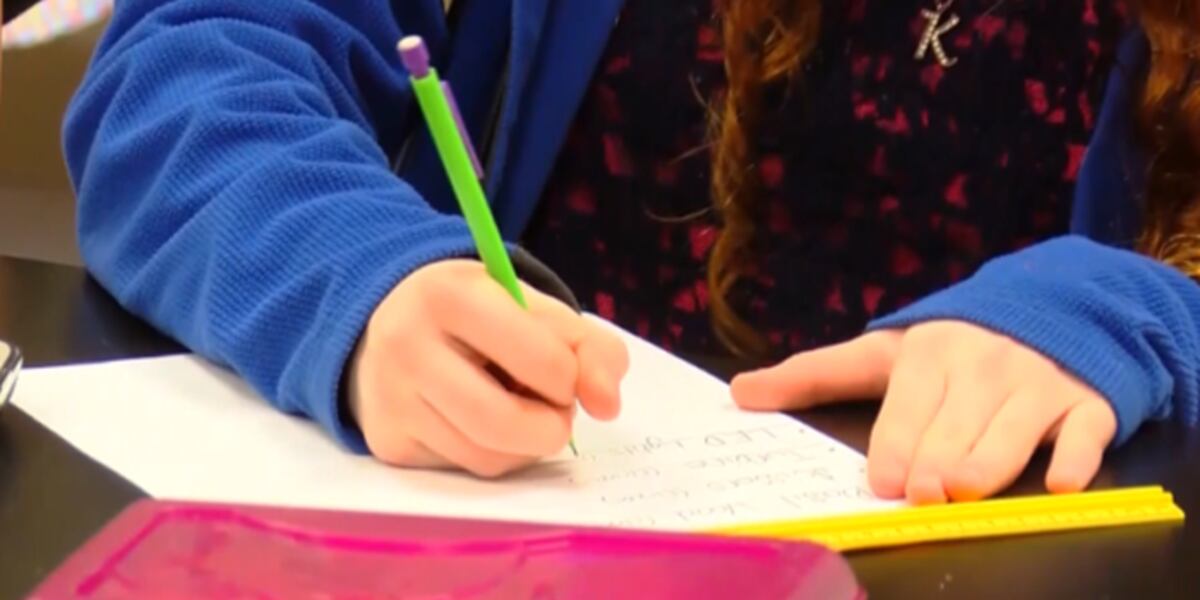 School districts analyze state test scores