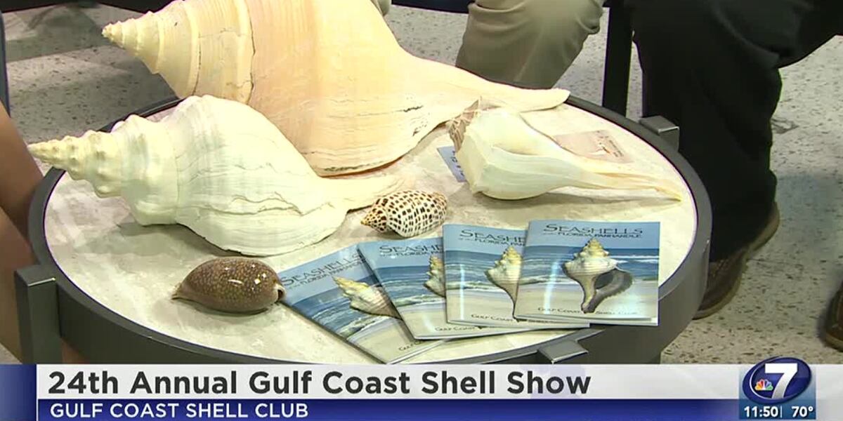 Shell Shows 24th Annual Gulf Coast Shell Show