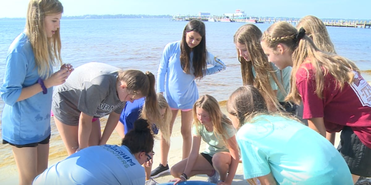 Surfside Middle School enjoys Bay Day