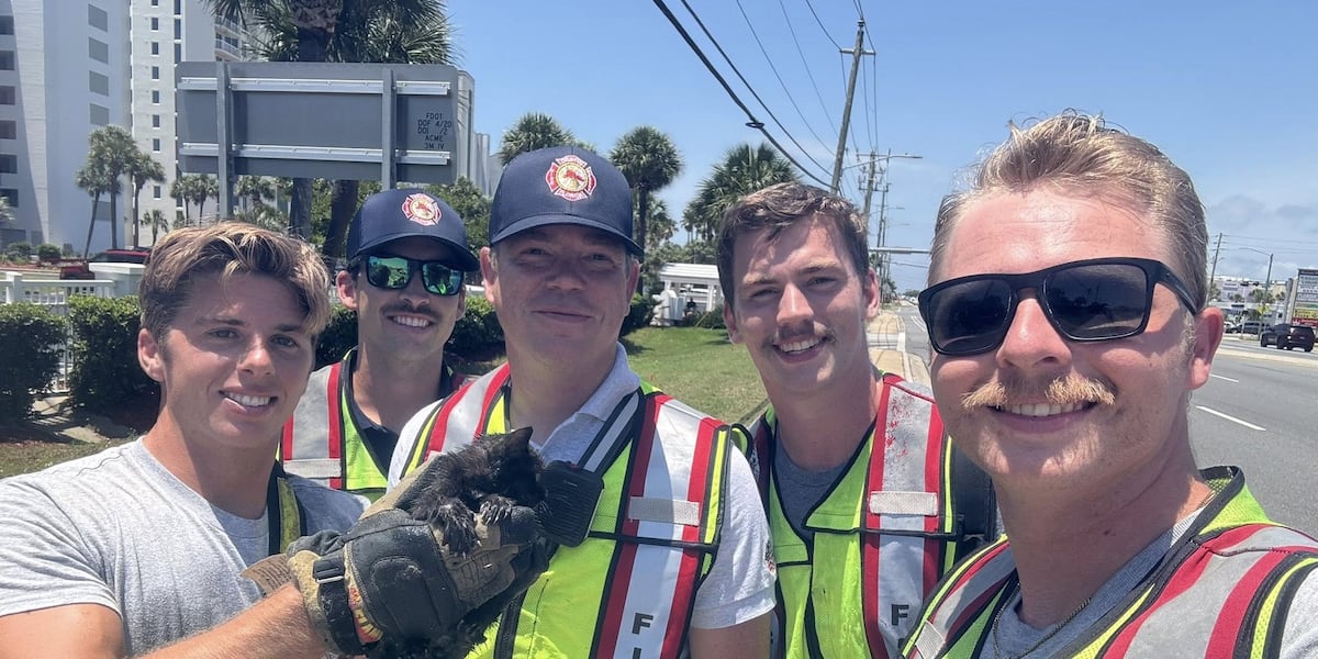 Destin Fire Rescue saves kitten from drain
