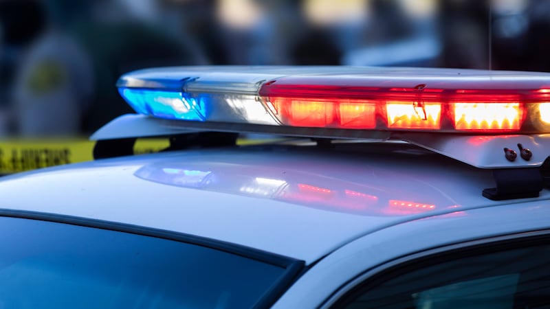 FILE - Police lights.