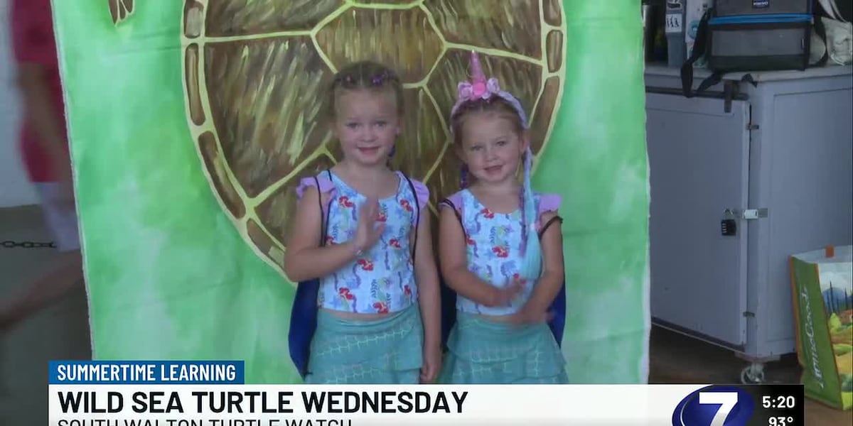 Summertime Learning: Wild Sea Turtle Wednesday