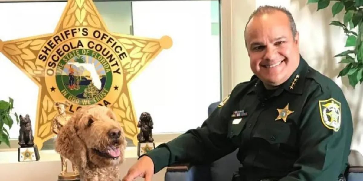 Florida sheriff arrested, removed from office in connection to criminal organization
