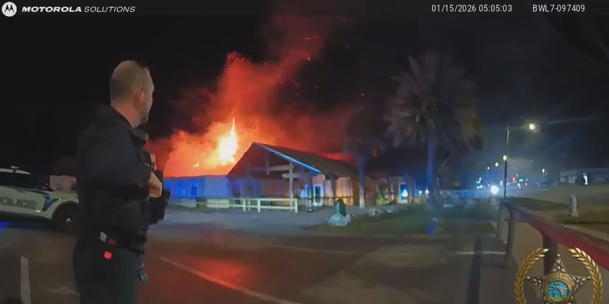 Tujuh lemur mati menyusul kebakaran habitat ZooWorld