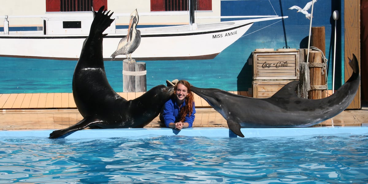 “Once the Dolphin Company took over, these animals had to suffer,” former Gulf World trainer speaks out
