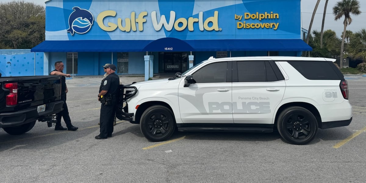 Building code violations at Gulf World, PCB mayor says