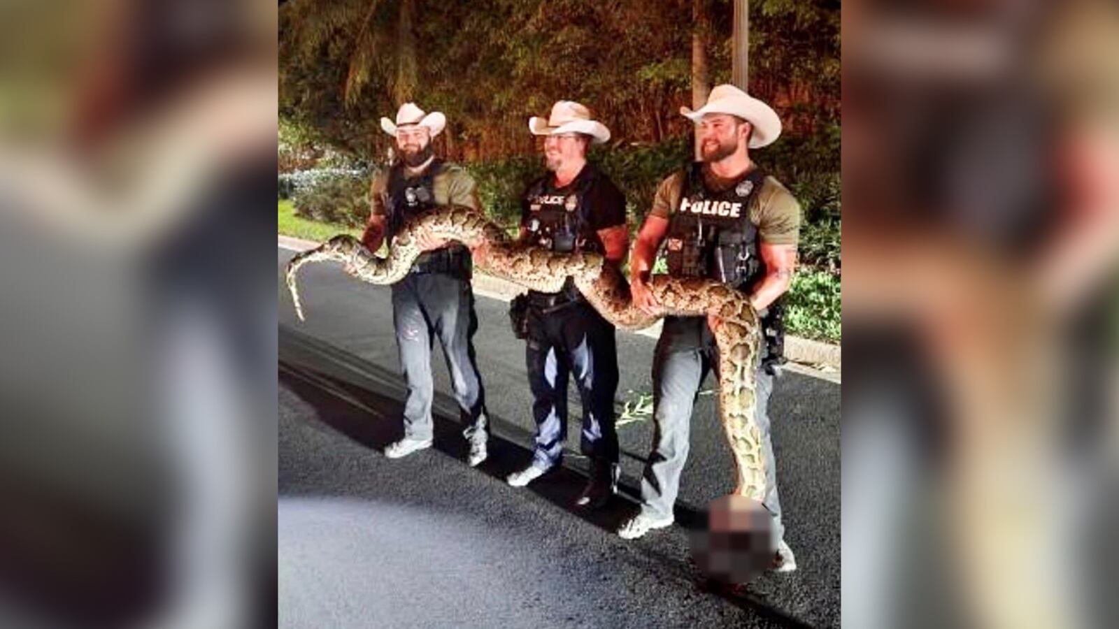14-foot python removed from Florida neighborhood