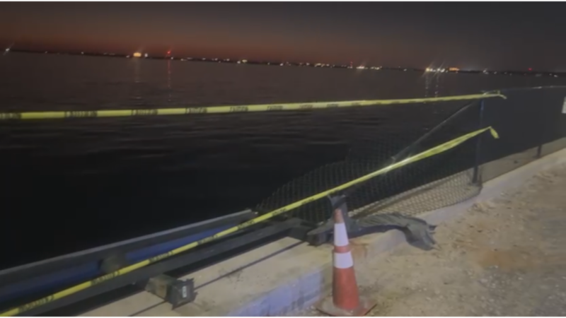 The incident occurred when the driver reportedly attempted to press on her car’s breaks but...