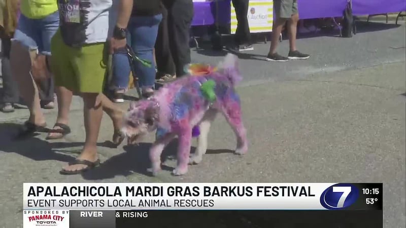 The Mystic Krewe of Salty Barkers held its annual parade and fundraiser in downtown...
