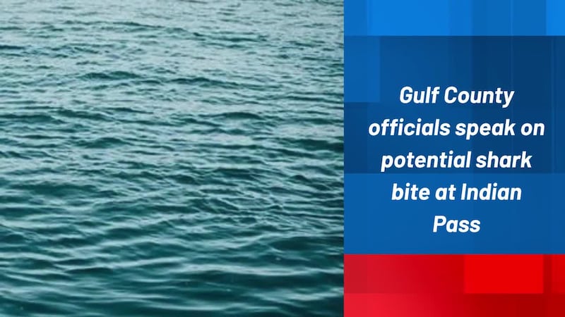 Gulf County officials speak on potential shark bite at Indian Pass