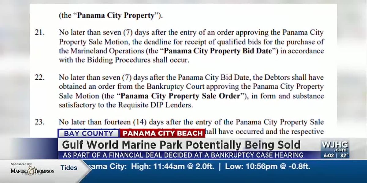 Gulf World Marine Park to be sold as part of a court’s financial agreement – WJHG